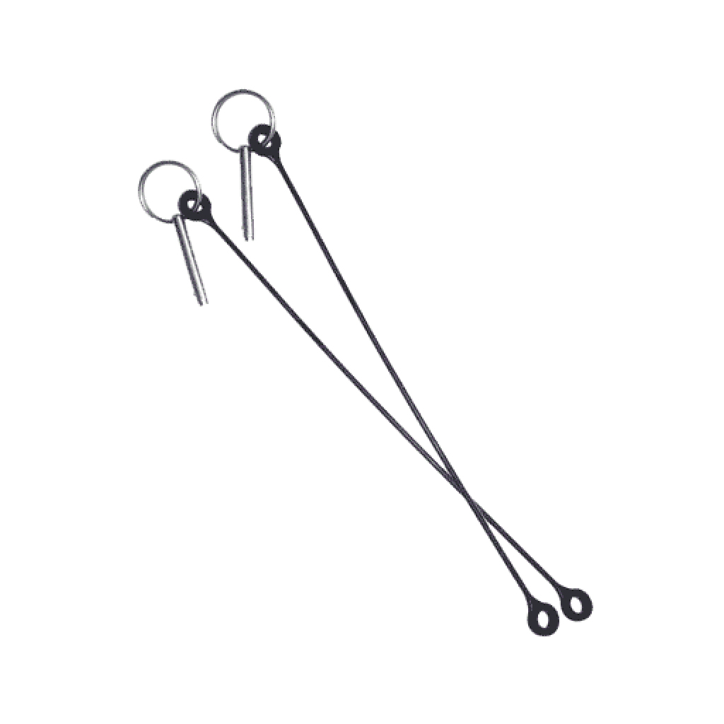 Pins & Lanyards (2 Pack)